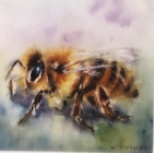 Pszczoła , 12x12cm